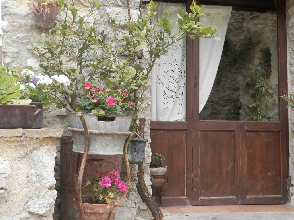 Готель Residenza Di Paese Castello Del Poggio Ferentillo Екстер'єр фото